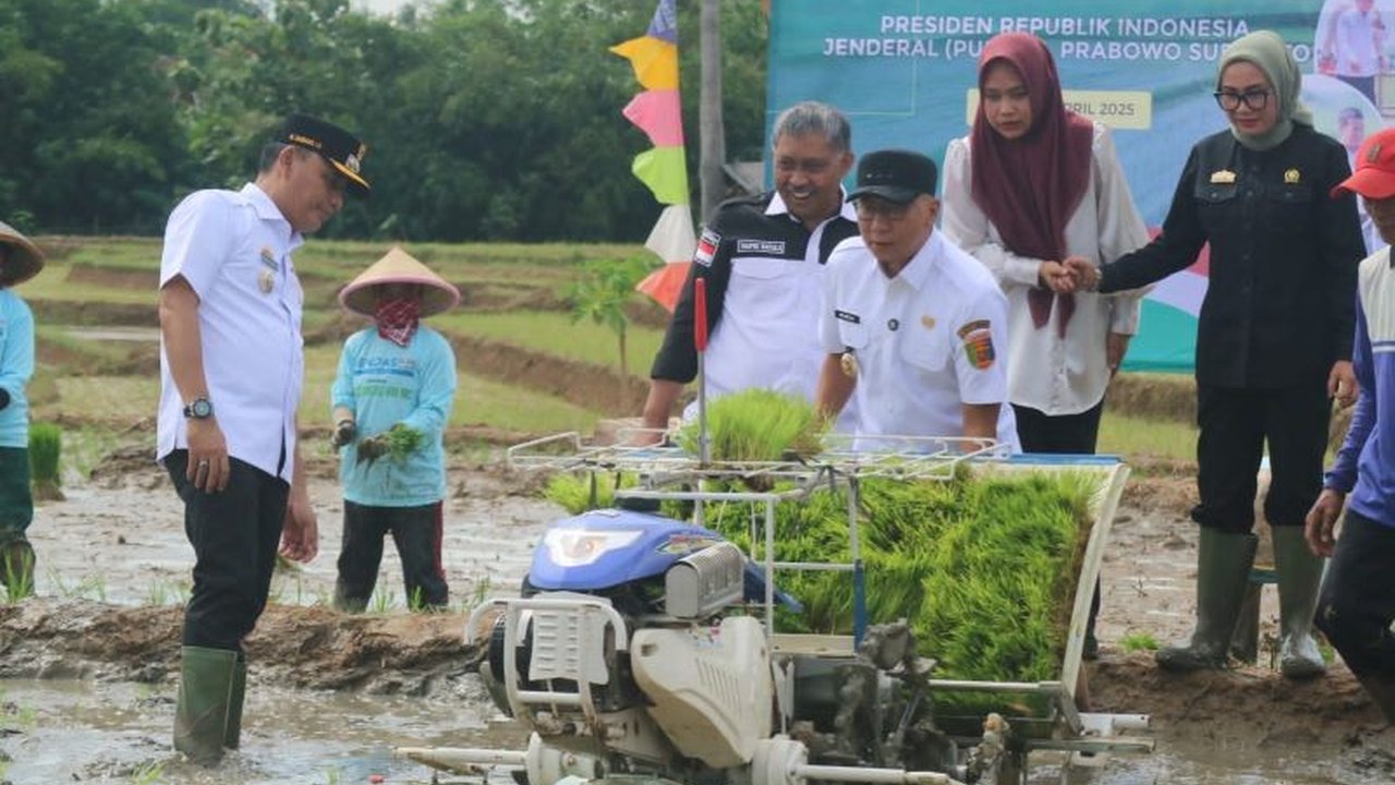 Pemerintah Provinsi Lampung optimis mencapai produksi gabah 3,5 juta ton pada 2025, namun menghadapi tantangan infrastruktur pascapanen yang masih kurang memadai.