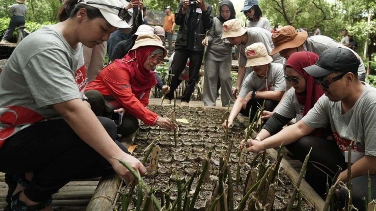 Prudential Indonesia perkuat komitmen lingkungan hidup dengan menanam 5.000 bibit mangrove di Pulau Harapan, sebagai bagian dari strategi keberlanjutan perusahaan.