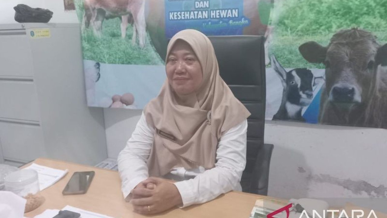 Dinas Pangan dan Pertanian Bangka telah memvaksin 791 sapi terhadap Penyakit Mulut dan Kuku (PMK) hingga Februari 2025, namun stok vaksin yang terbatas menjadi kendala.