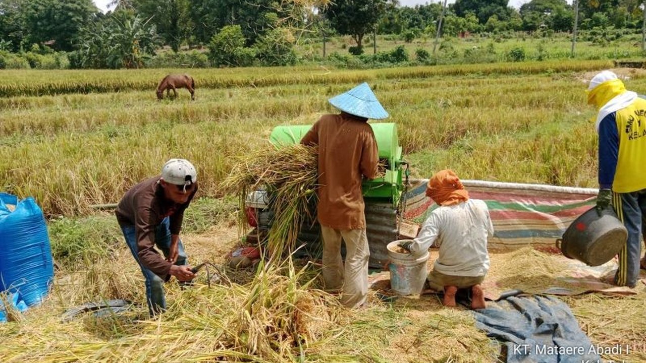 Gubernur Sulawesi Selatan, Andi Sudirman Sulaiman, menyampaikan apresiasi atas capaian serapan gabah yang melampaui target, mencapai 374.783 ton atau 131 persen dari target, berkat kerja sama TNI-Polri, PPL, pemerintah daerah, dan petani.