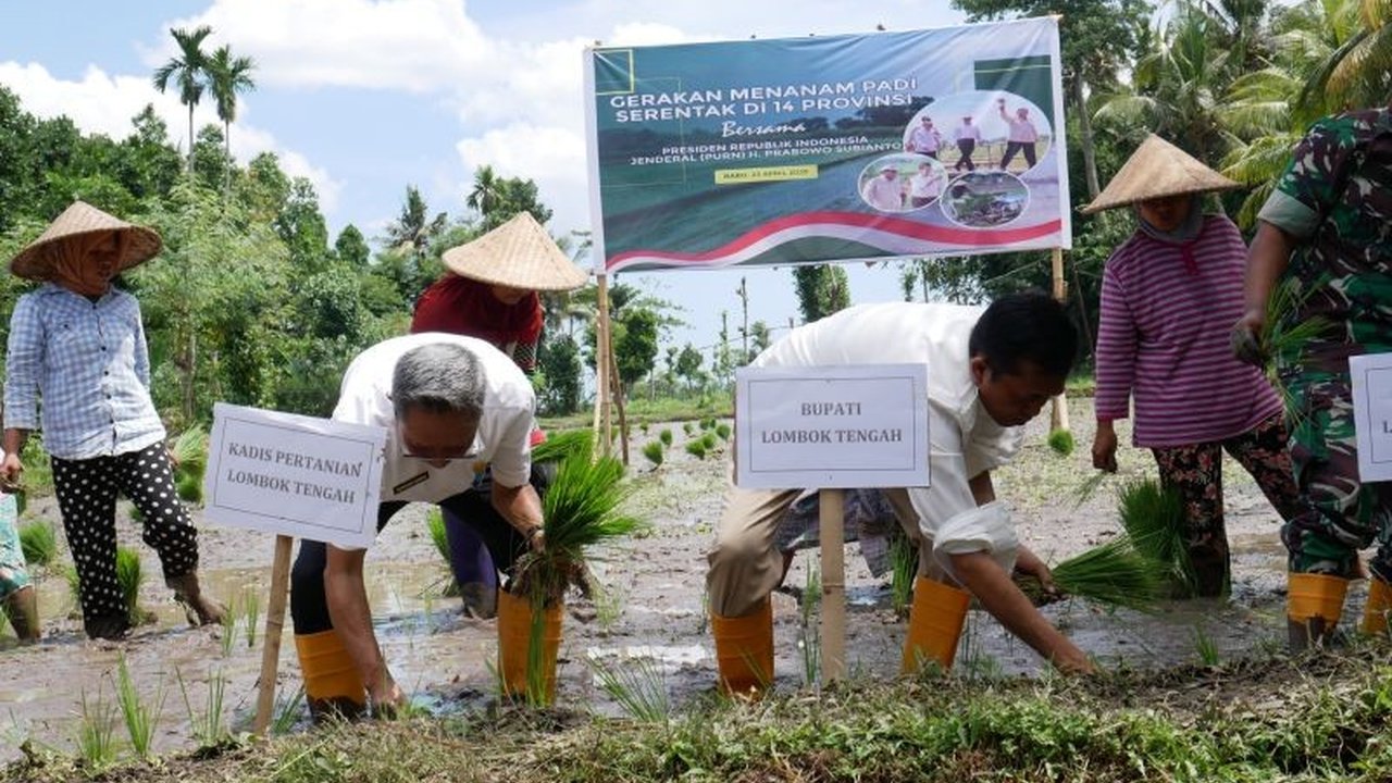 Lombok Tengah Dukung Percepatan Swasembada Pangan Nasional