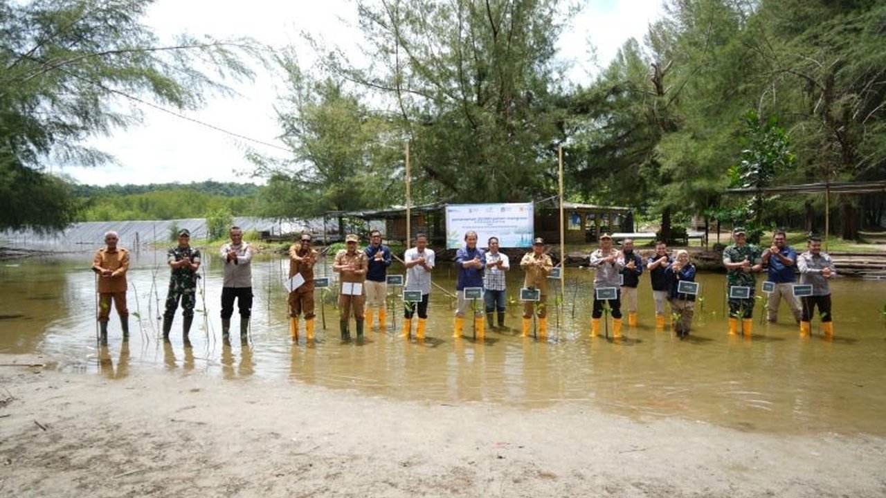 PLN UID Aceh menanam 20 ribu pohon mangrove di Aceh Jaya sebagai bentuk komitmen terhadap pelestarian lingkungan dan mitigasi perubahan iklim, sekaligus mendukung SDGs poin ke-13.