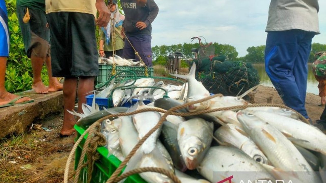 Kabupaten Cirebon mencatat produksi perikanan mencapai 44 ribu ton pada 2024, didorong oleh strategi pengembangan sektor perikanan yang berkelanjutan dan ramah lingkungan.