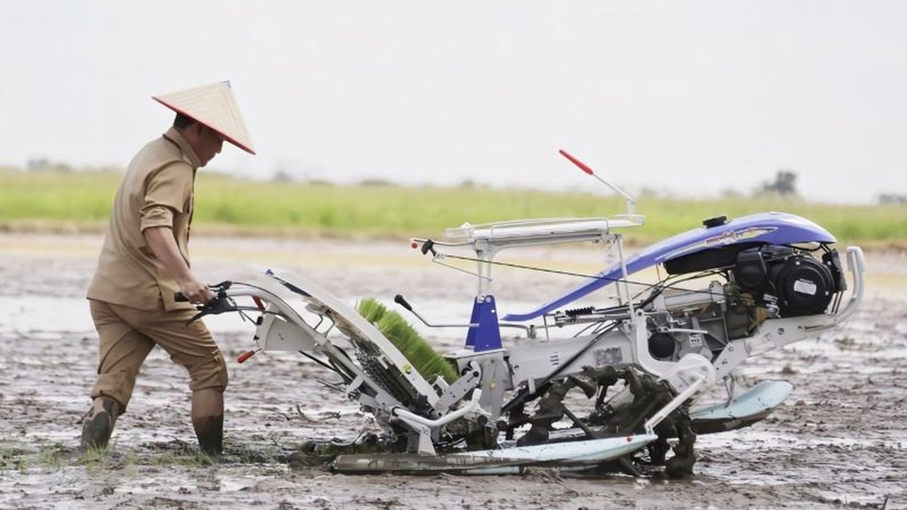 Kalteng Dukung Kedaulatan Pangan Nasional: Target Tanam Padi Terlampaui