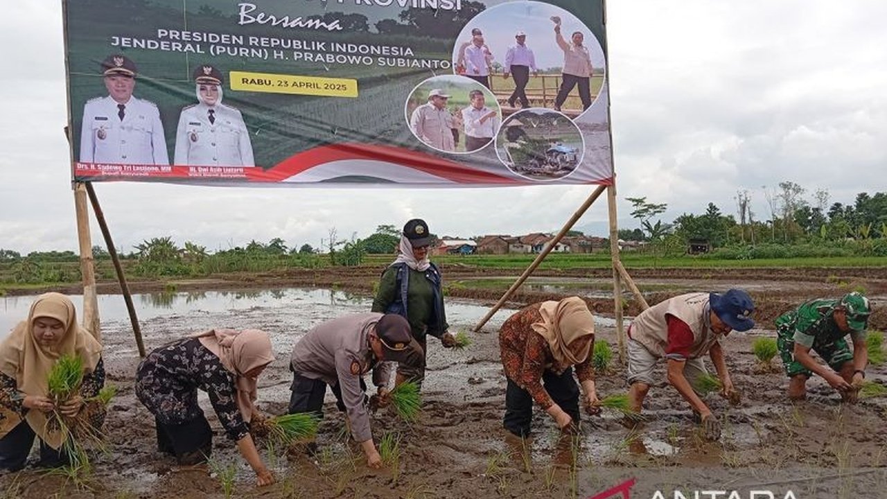 Kabupaten Banyumas, Jawa Tengah, gencar mendukung swasembada pangan melalui Gerakan Menanam Padi Serentak, namun kekurangan petani muda menjadi tantangan utama.
