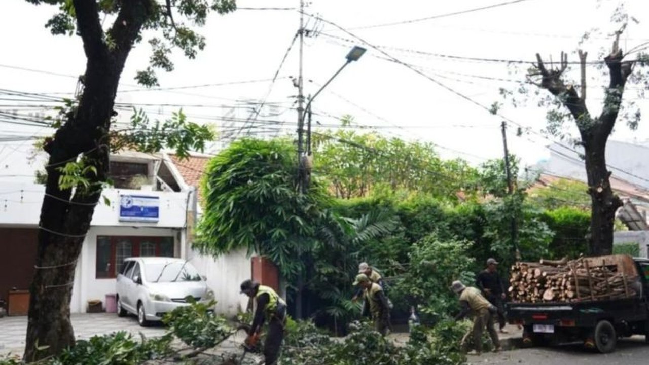 Sudin Pertamanan dan Hutan Kota Jaksel gencarkan program 