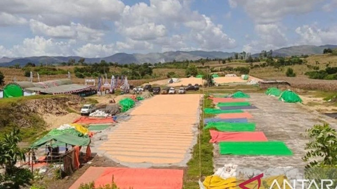 Perum Bulog menyewa gudang di Dompu, NTB, berkapasitas 1.500 ton untuk menyerap jagung petani lokal dengan harga Rp5.500 per kilogram, meskipun gudang Bulog di Bima dan Dompu saat ini masih menyimpan 13.800 ton jagung.