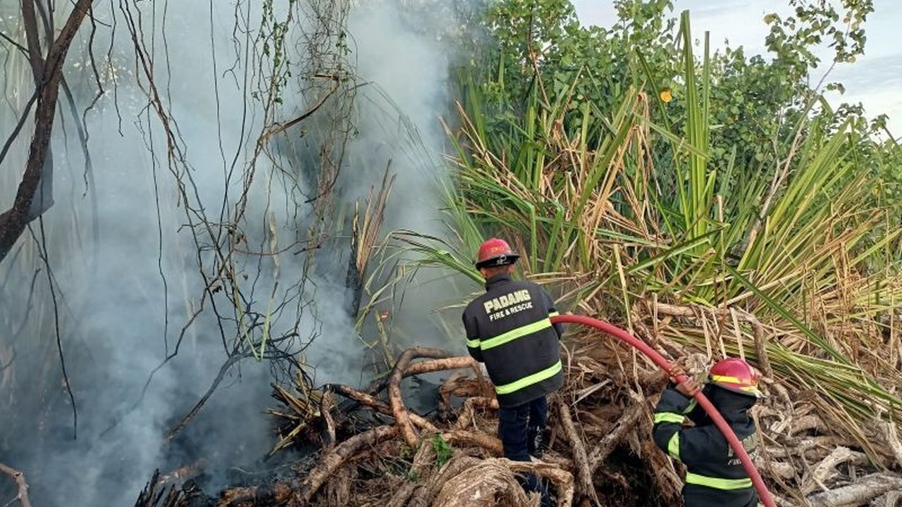 Kebakaran Lahan di Nanggalo, Padang: Lima Bangunan Selamat dari 'Si Jago Merah'