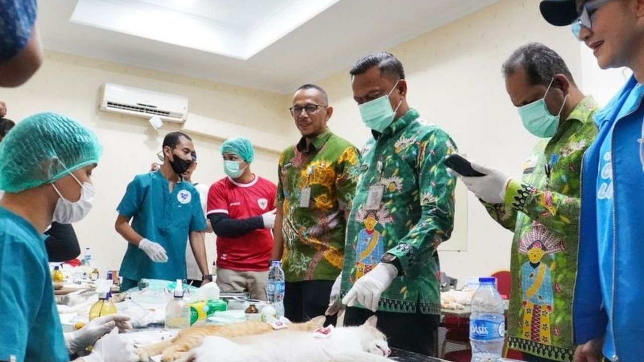 Pemerintah Kota Jakarta Selatan (Pemkot Jaksel) gandeng komunitas pecinta kucing untuk sterilisasi massal 150 kucing liar, guna mengendalikan populasi hewan di wilayah tersebut.