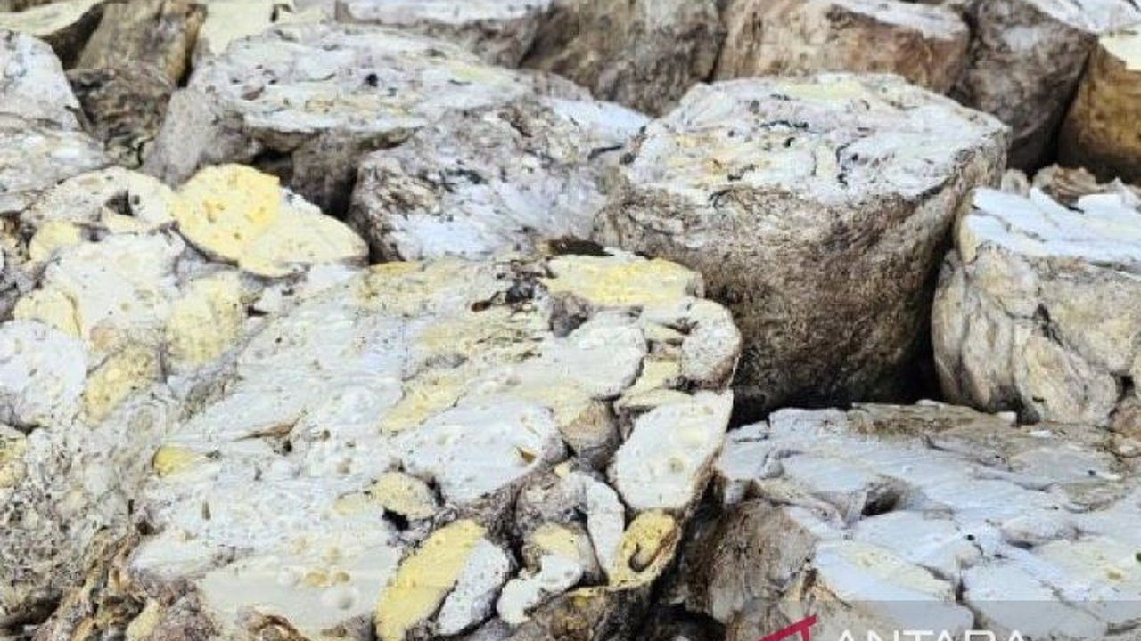 Ekspor karet alam Sumatera Utara mencapai 21.666 ton pada Maret 2025, meningkat dari bulan sebelumnya, namun masih di bawah potensi maksimal akibat lemahnya permintaan dari China dan kendala cuaca.