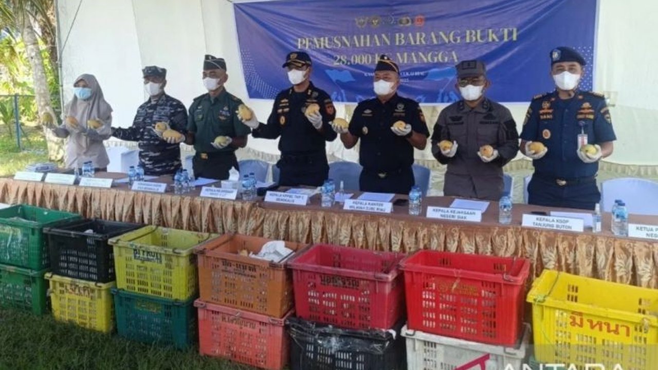 Bea Cukai Riau dan Denpom-AD I/3 Pekanbaru memusnahkan 28 ton mangga ilegal asal Thailand senilai Rp521.074.400 yang diselundupkan melalui Pelabuhan Sungai Rawa, Siak, Riau.