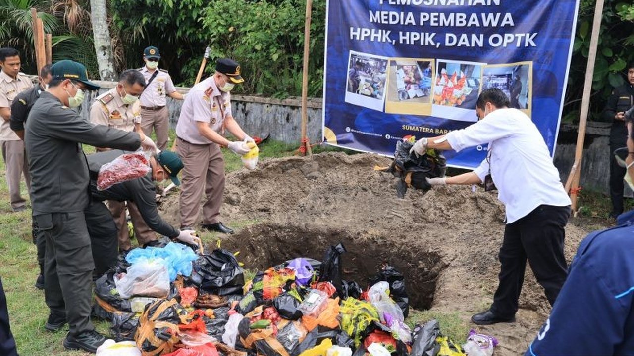 Balai Karantina Hewan, Ikan dan Tumbuhan Sumatera Barat memusnahkan 168,7 kg komoditas ilegal asal luar negeri tanpa uji sampel laboratorium karena telah sesuai aturan dan pertimbangan biaya.