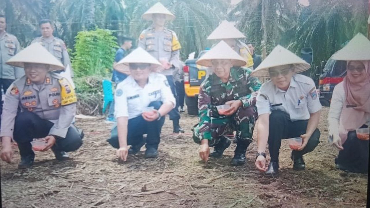 Pasaman Barat Bidik Tambah Luas Tanam Jagung 2.000 Hektare di 2025