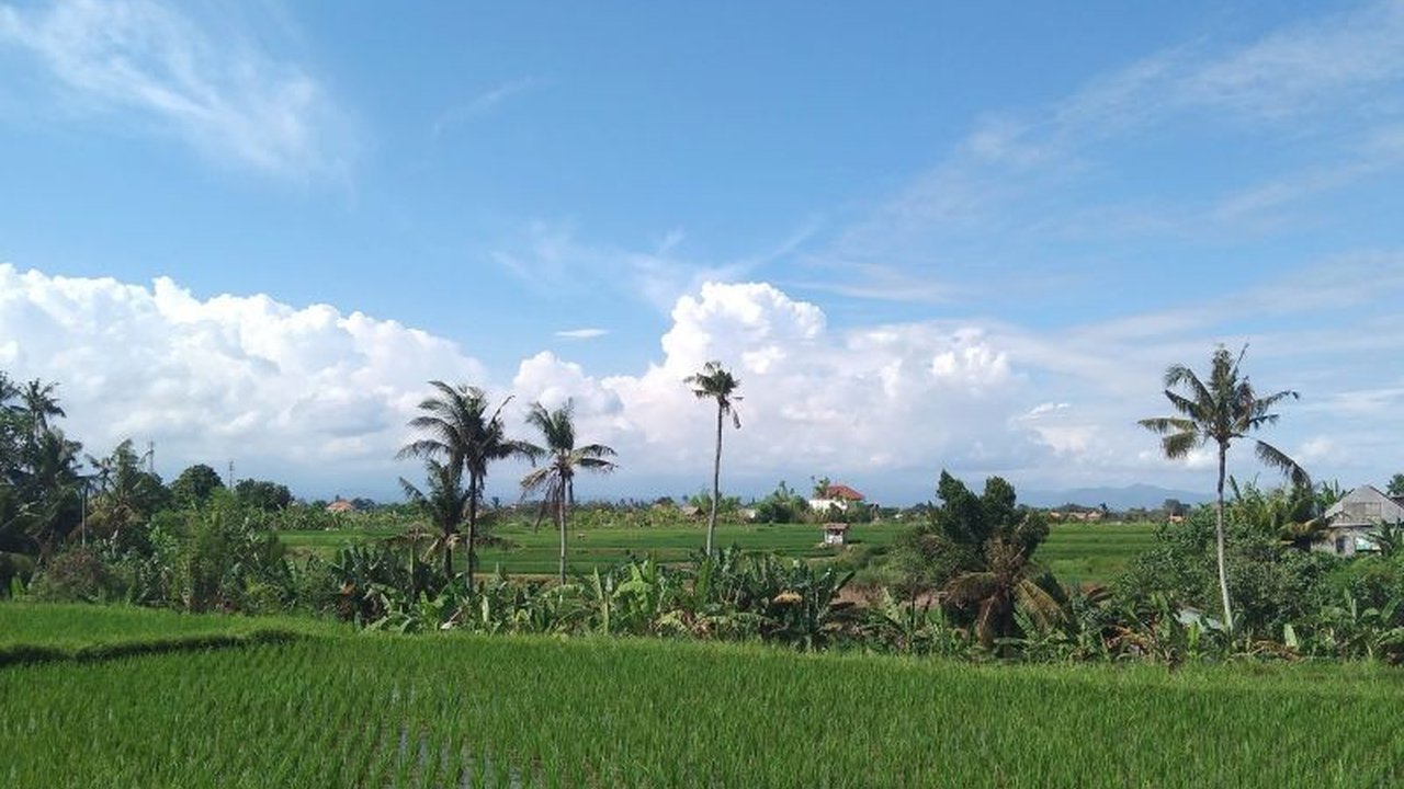 BBMKG Wilayah III Denpasar mengimbau petani Bali untuk menampung air guna mengantisipasi kemarau dan waspada potensi hujan deras serta gelombang tinggi di perairan Bali.