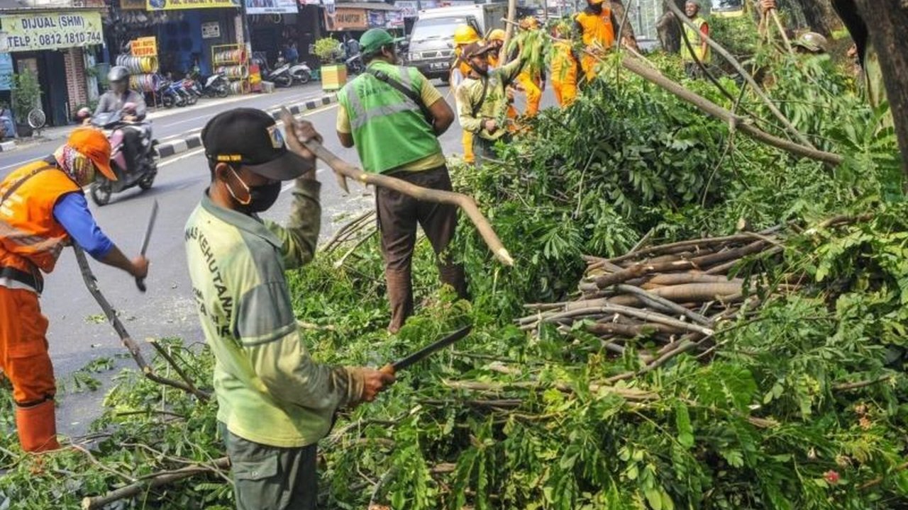 Suku Dinas Pertamanan dan Hutan Kota Jakarta Selatan memangkas 63 pohon di Pasar Minggu untuk mencegah tumbang dan menjaga estetika lingkungan, mendapat apresiasi warga.