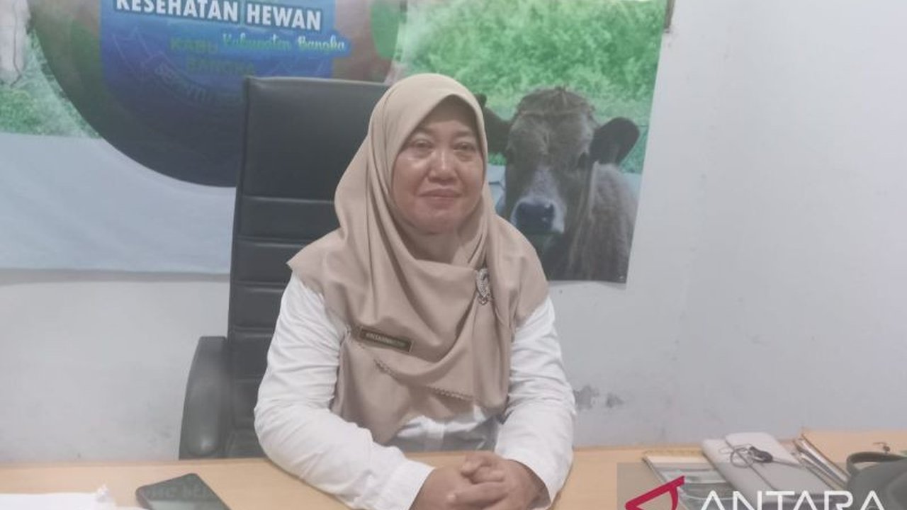 Kabupaten Bangka memperketat pengawasan kesehatan hewan kurban untuk memastikan keamanan daging yang dikonsumsi masyarakat menjelang Idul Adha 2025, dengan estimasi kebutuhan mencapai 1.229 ekor sapi.