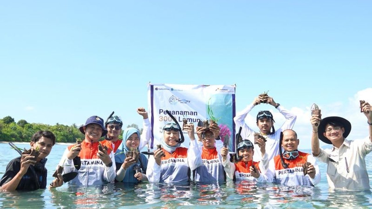PT Pertamina International Shipping (PIS) melakukan penanaman 3.000 bibit lamun di Teluk Bakau, Bintan, sebagai upaya pelestarian lingkungan laut dan penyerapan karbon.