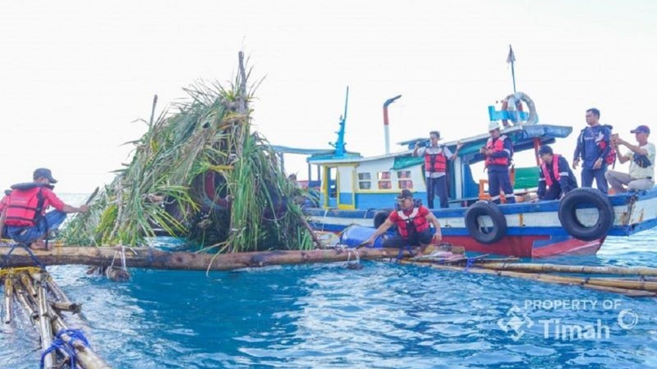 PT Timah Tbk berkolaborasi dengan nelayan Matras, Bangka Belitung, menenggelamkan puluhan rumah ikan buatan untuk menjaga ekosistem laut dan meningkatkan hasil tangkapan.