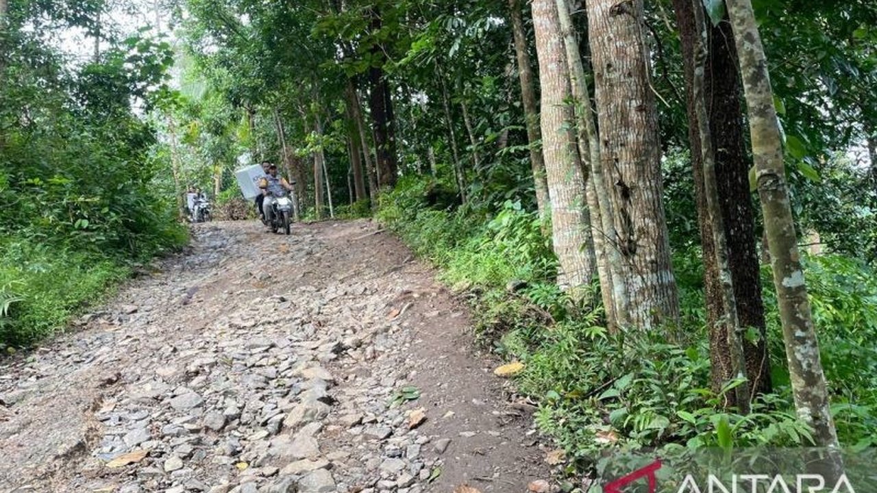 Pemerintah Kabupaten Serang berupaya meningkatkan pelayanan kesehatan di Desa Cikedung, desa tertinggal terakhir di Kabupaten Serang, dengan membangun Puskesmas Pembantu (Pustu) dan memperbaiki akses jalan pada tahun 2026.