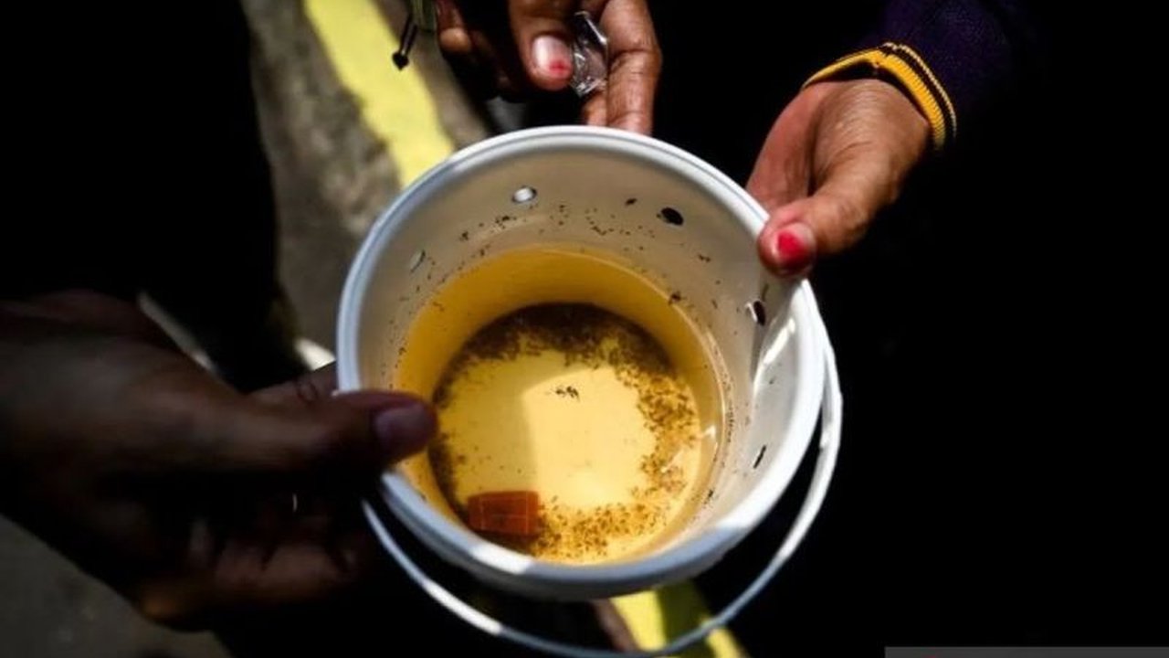 Program pengembangan nyamuk Wolbachia di Jakarta Barat untuk menekan kasus demam berdarah dengue terus berlanjut, bahkan akan dikembangkan di kantor Wali Kota pada Mei 2025.