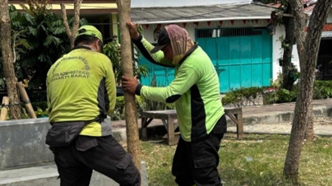 Jakbar Tanam 50 Pohon Tabebuya di Taman Sensori Kamal untuk Kurangi Polusi Udara