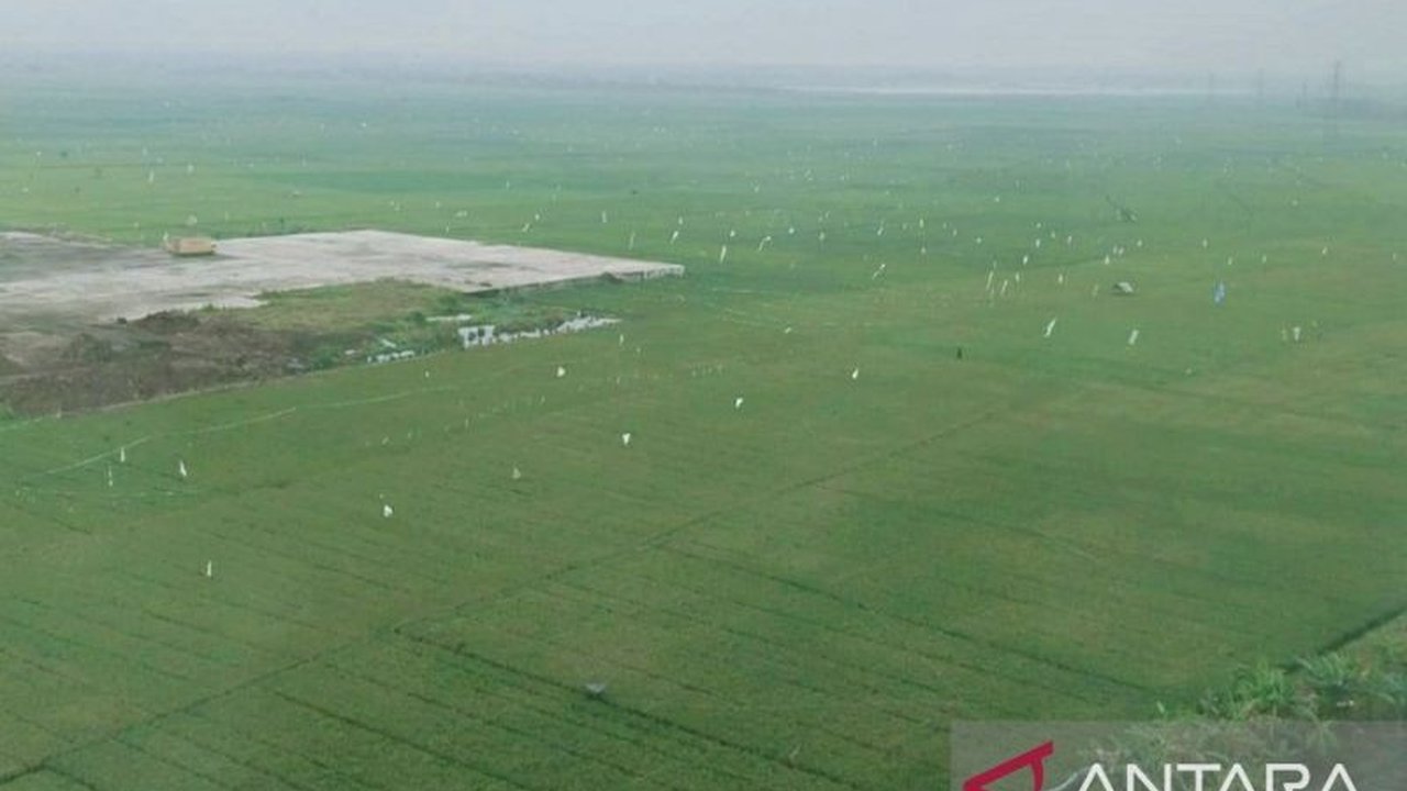 Wakil Menteri Pertanian mengapresiasi kebijakan Pemerintah Kabupaten Karawang yang melindungi lahan pertanian dari alih fungsi melalui Perda LP2B dan berbagai dukungan lainnya untuk petani.