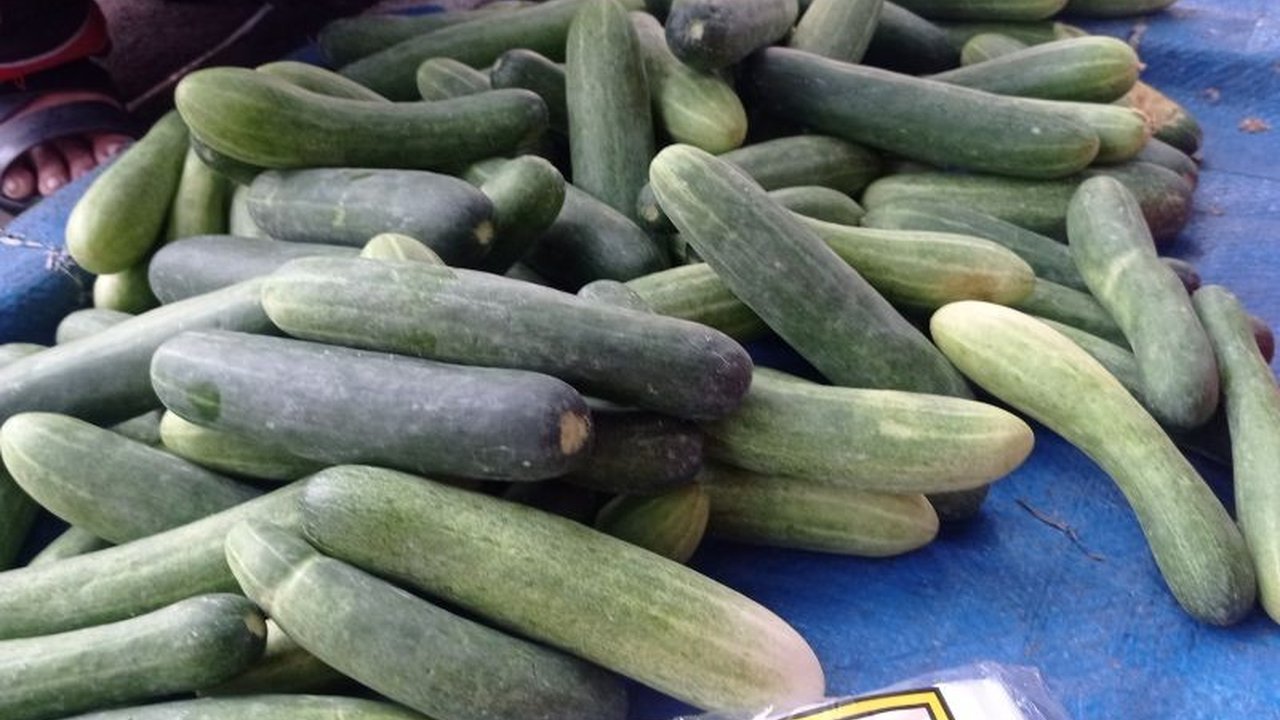 Dinas Pertanian Lebak mendorong petani untuk meningkatkan produksi sayuran dataran rendah guna meningkatkan pendapatan dan kesejahteraan masyarakat.