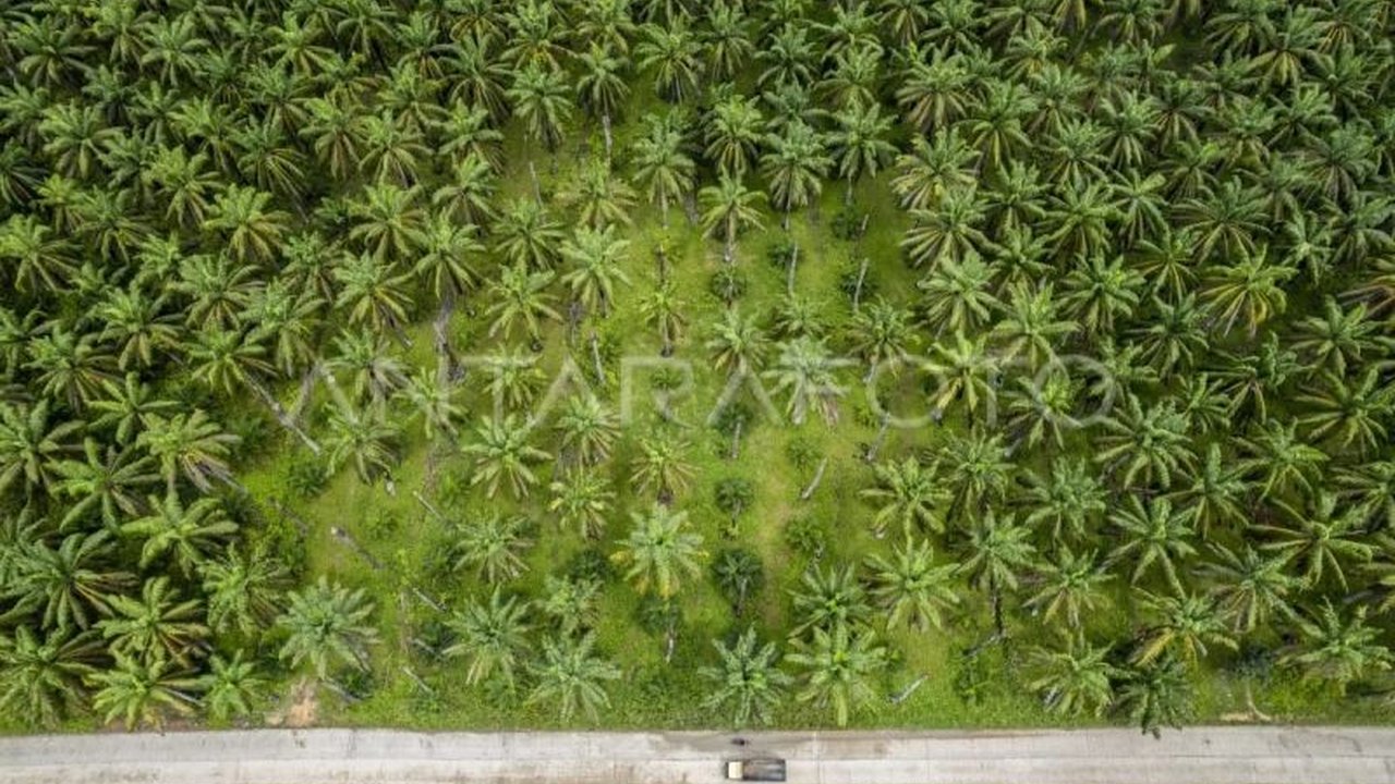 PT Sumber Tani Agung Resources Tbk (STAA) raih laba bersih Rp355 miliar di kuartal I 2025, meningkat signifikan berkat strategi bisnis adaptif dan peningkatan produktivitas.