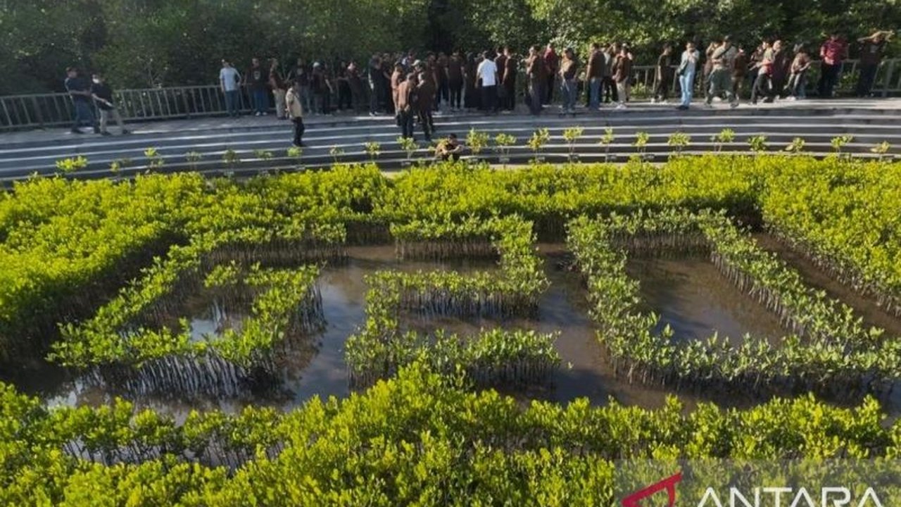 Kawasan Showcase Mangrove G20 di Tahura Ngurah Rai, Bali, akan segera dibuka untuk umum sebagai objek wisata premium setelah proses penyerahan aset dari pemerintah pusat rampung.