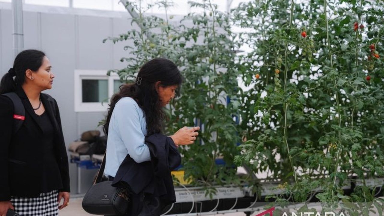 Kementan RI menerima delegasi SSTC dari berbagai negara yang terkesan dengan program YESS dan inovasi pertanian milenial Indonesia, membuka peluang kerjasama internasional.