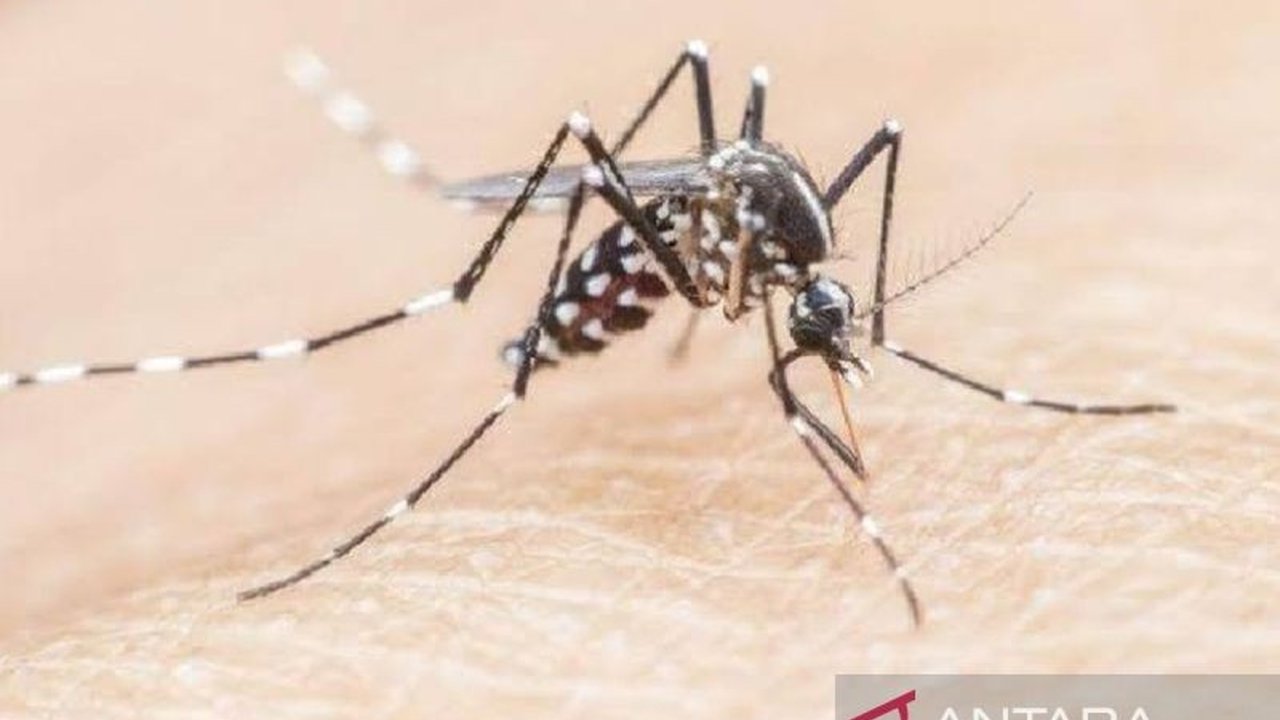 Dinas Kesehatan Kota Tangerang mengajak masyarakat aktif mencegah malaria karena penyakit ini dapat berakibat fatal jika tidak ditangani dengan cepat dan tepat, melalui berbagai upaya pencegahan dan pemberantasan sarang nyamuk.