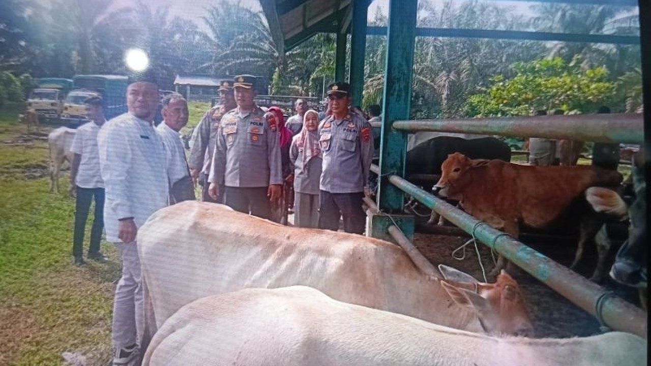 Pasaman Barat Perketat Pengawasan Hewan Ternak Jelang Idul Adha
