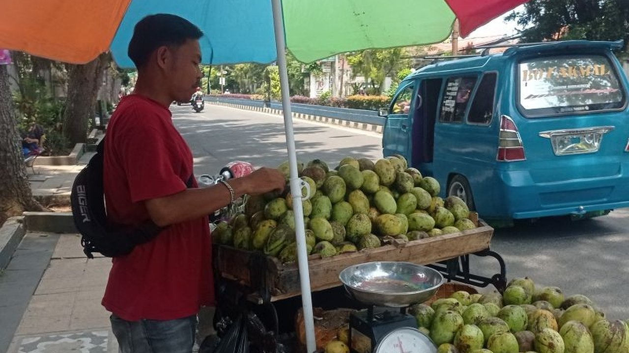 Para pedagang mangga musiman asal Indramayu meraup keuntungan hingga jutaan rupiah per hari di Kabupaten Lebak, berkat tingginya permintaan dan harga jual yang terjangkau.