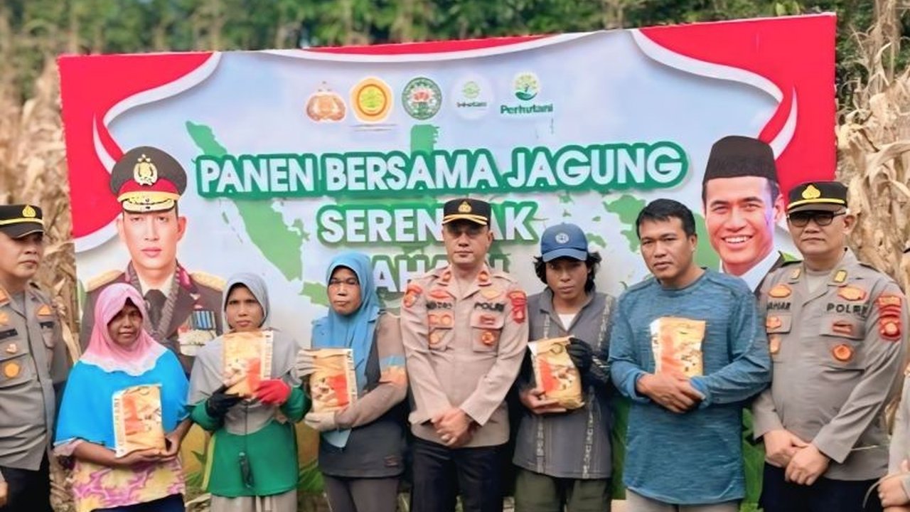Polres OKU Selatan berhasil memanen 18 ton jagung dari lahan binaan seluas tiga hektare, menunjukkan komitmen nyata dalam mendukung program ketahanan pangan nasional.