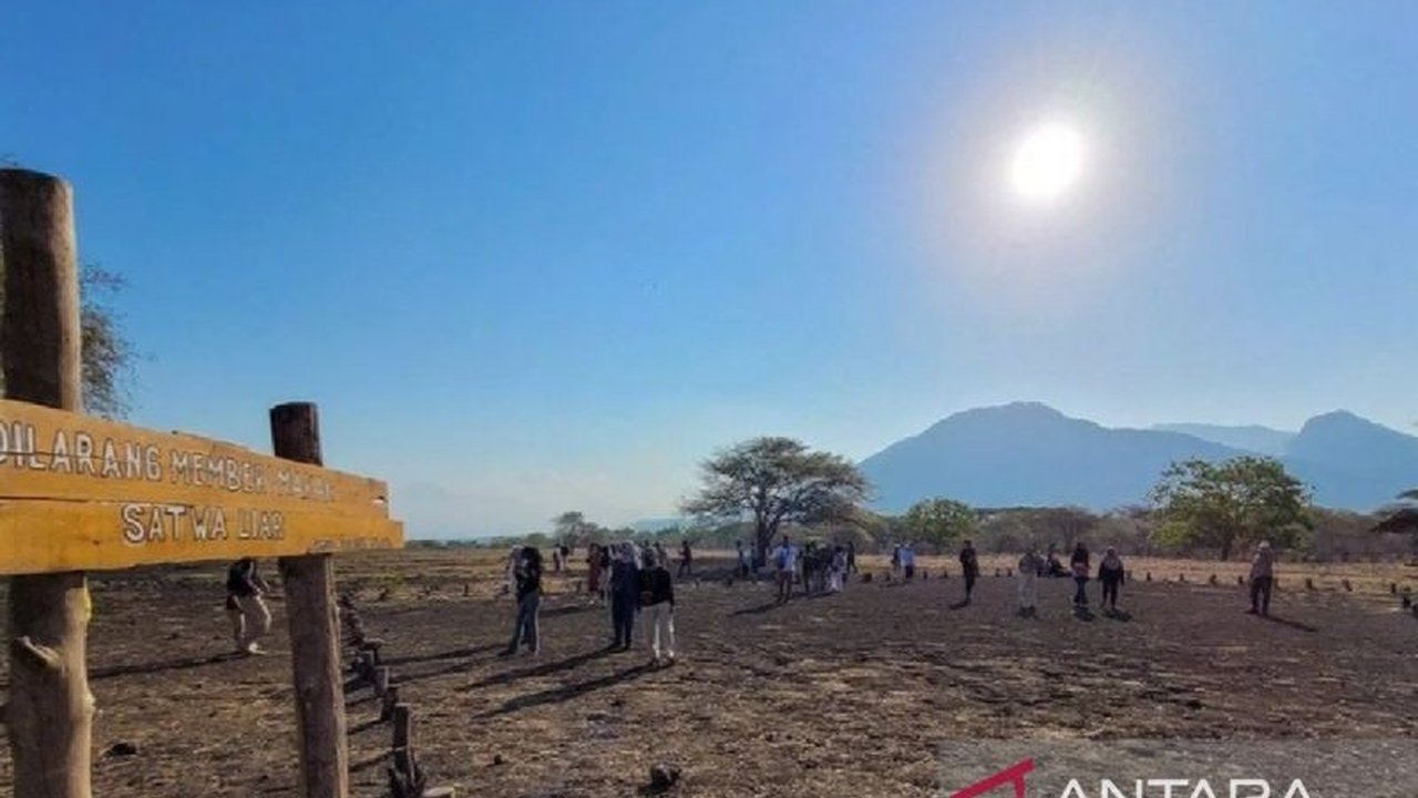 Meski berbatasan dengan Taman Nasional Baluran, Situbondo tak mendapat pemasukan dari pengelolaan wisata tersebut, sementara Desa Wonorejo merasakan dampak ekonomi yang menurun akibat perbaikan akses jalan.