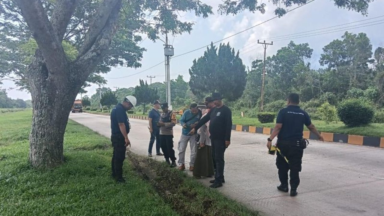 BBKSDA Riau menyelidiki kemunculan harimau Sumatra di sekitar pabrik goni di Dumai, memasang kamera jebak dan mengimbau perusahaan mengurangi aktivitas malam hari guna mencegah konflik satwa.