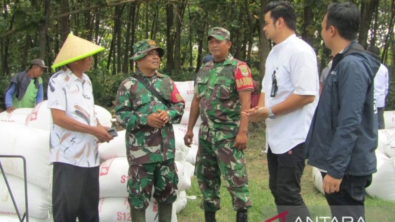 Bulog memberikan apresiasi kepada TNI atas pengawalan panen padi di Bekasi, yang menjamin penyerapan gabah petani berjalan lancar dan harga tetap stabil.