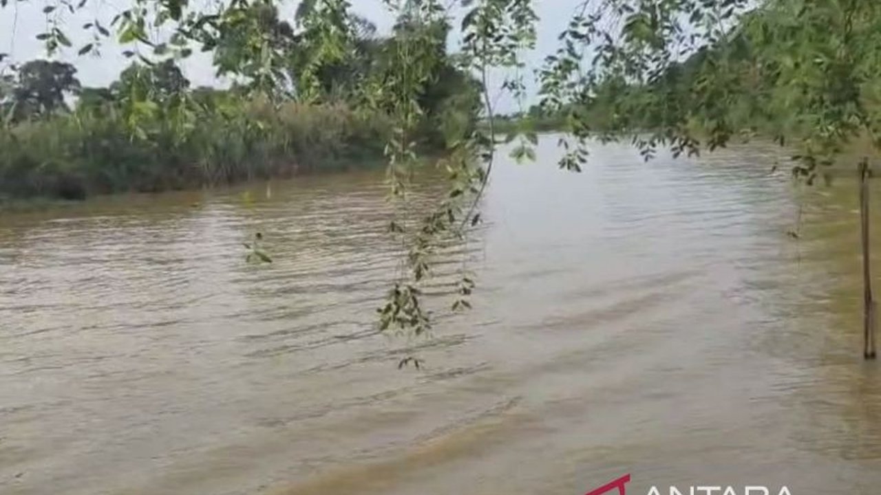 Setelah pencarian intensif, jasad Muhammad Vicky, pelajar SD yang diduga diserang buaya di Sungai Sangatta, Kutai Timur, akhirnya ditemukan, mengakhiri operasi pencarian yang melibatkan berbagai pihak.