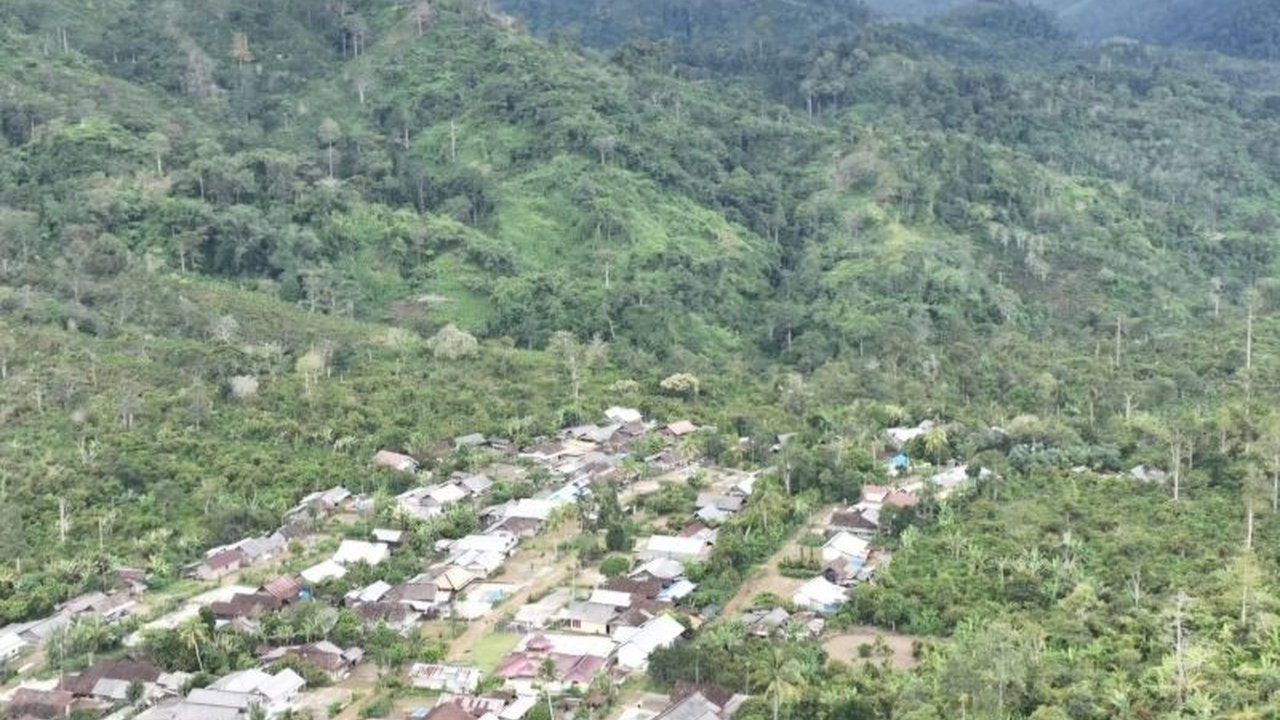 7.000 hektare kawasan hutan konservasi Taman Nasional Bukit Barisan Selatan (TNBBS) di Kecamatan Suoh, Lampung Barat, telah dirambah untuk perkebunan kopi, didominasi warga lokal dan luar Lampung Barat.