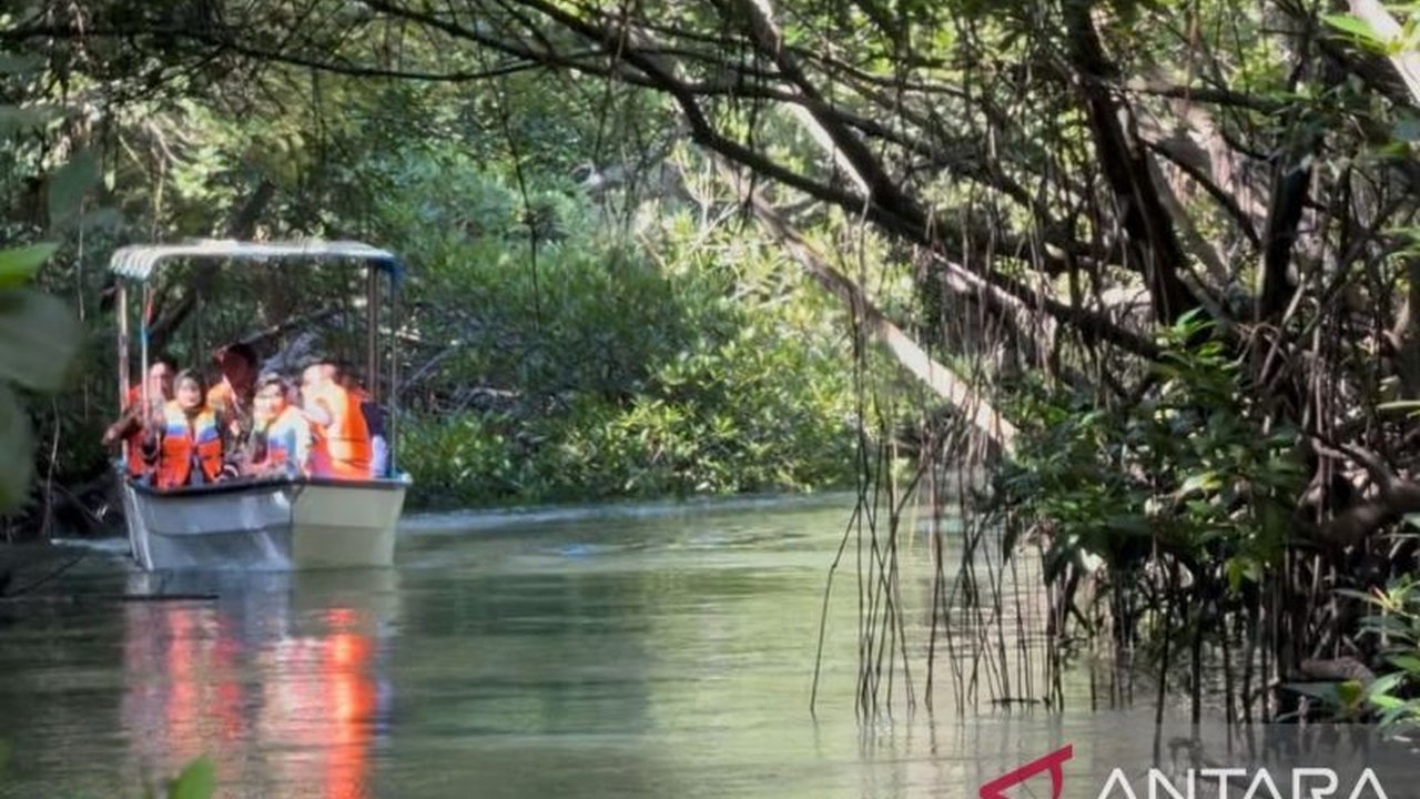 Masyarakat pesisir Bali sukses mengelola konservasi mangrove menjadi ekowisata dan menciptakan produk ekonomi kreatif berbahan dasar mangrove, meningkatkan perekonomian dan menjaga ekosistem pantai.