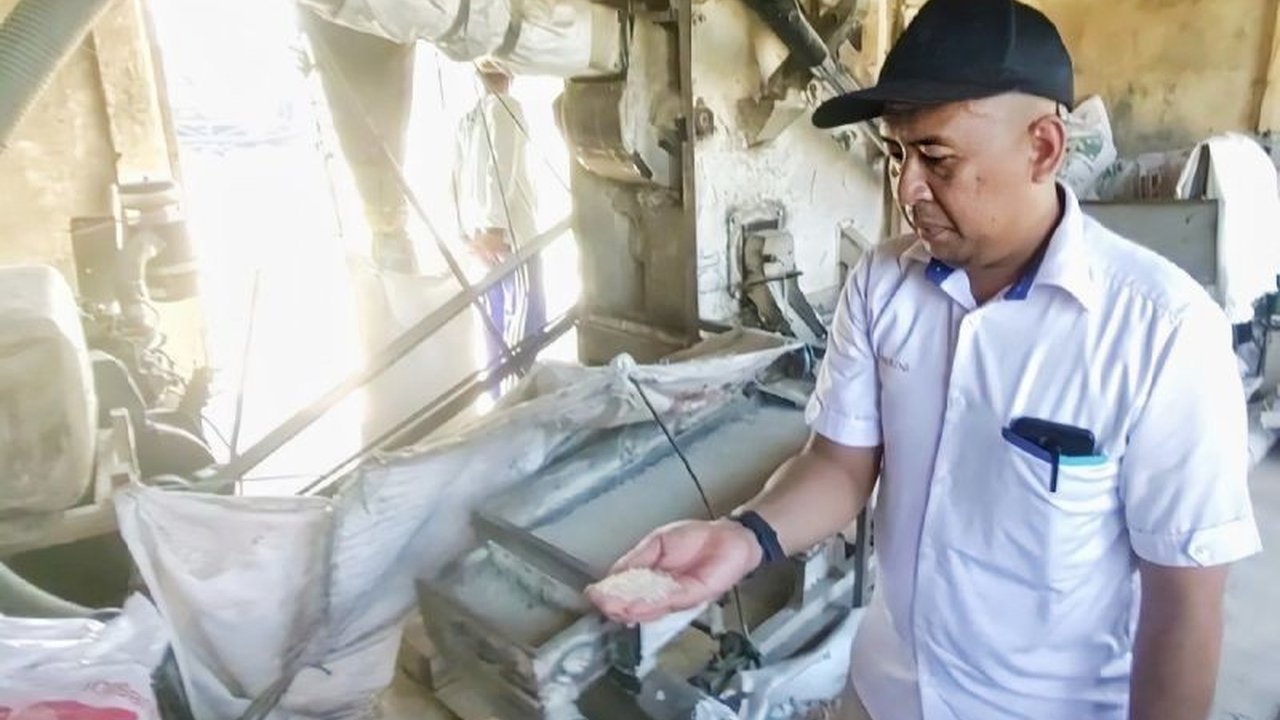 Peningkatan curah hujan di Kotawaringin Timur, Kalimantan Tengah, menjadi tantangan bagi petani dalam mencapai kadar air gabah ideal pascapanen, namun Bulog siap menyerap gabah dengan harga pemerintah.