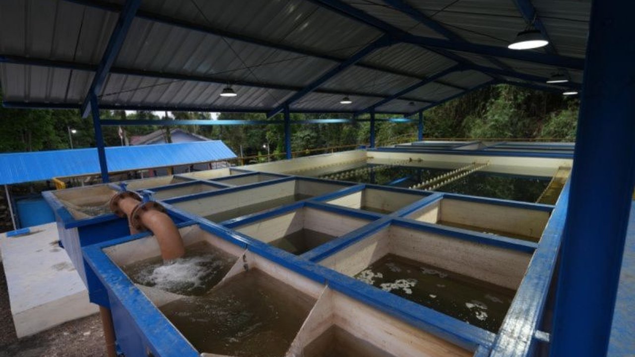 Pemerintah Kota Manado menyelesaikan peningkatan SPAM Lotta, memastikan akses air bersih berkualitas bagi 464 ribu warga dan mengantisipasi pertumbuhan penduduk.