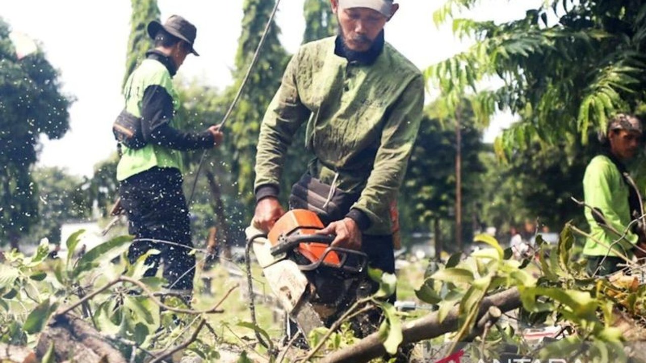 Suku Dinas Pertamanan Jakarta Selatan memangkas 856 pohon pada April 2025 untuk mencegah pohon tumbang akibat cuaca ekstrem dan hujan deras.