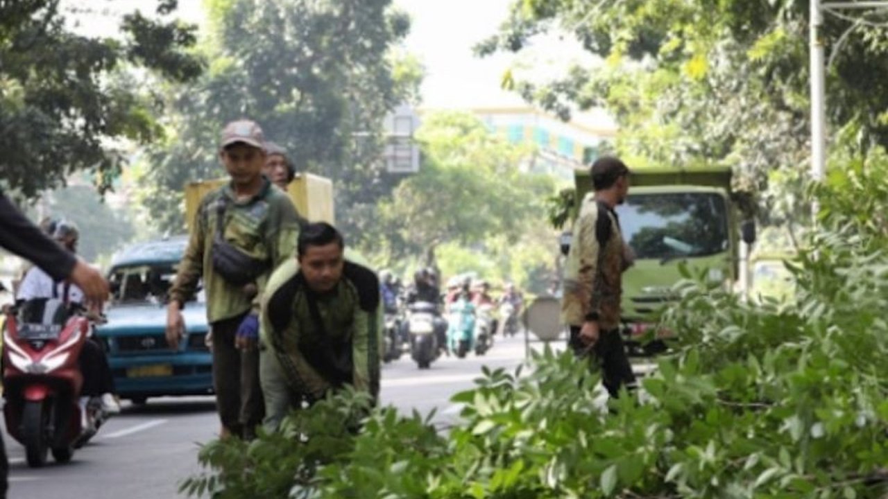 Pemkot Jakarta Utara melalui Satpel Tamhut Pademangan melakukan pemangkasan pohon di sejumlah wilayah untuk mencegah pohon tumbang dan menjaga keselamatan warga.