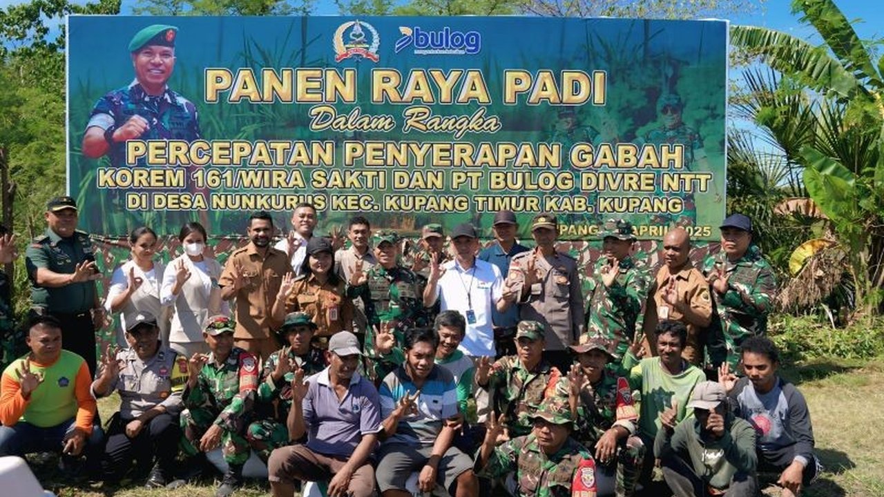 Brigjen TNI Joao Xavier Barreto Nunes pimpin panen raya padi 5.000 hektare di Kupang Timur, NTT, dorong swasembada pangan dan tingkatkan kesejahteraan petani dengan harga pembelian gabah Rp6.500/kg.