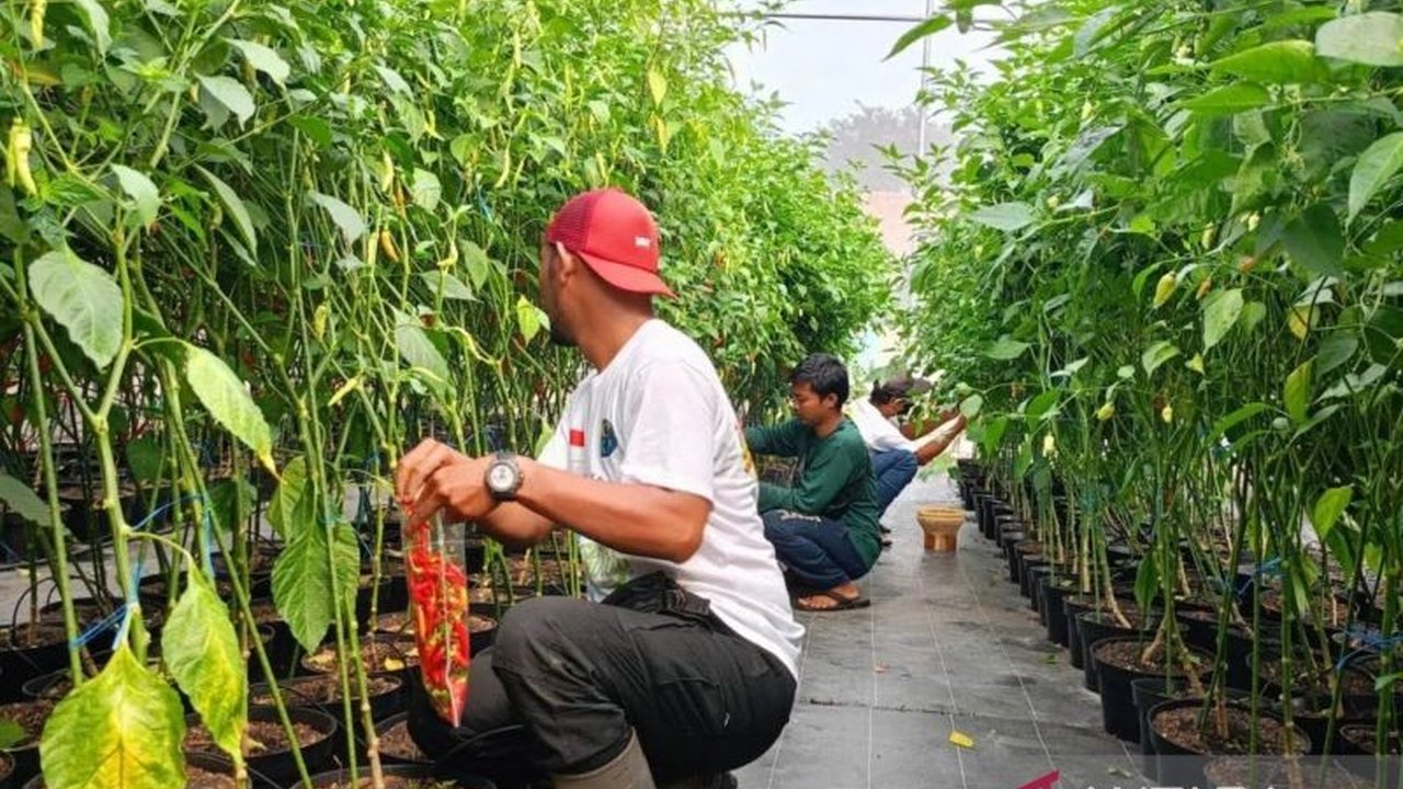 Pemkot Jaktim akan mengubah lahan pertanian perkotaan seluas 12.567 meter persegi di Pulo Gebang menjadi Edufarm untuk pembelajaran pertanian bagi masyarakat.