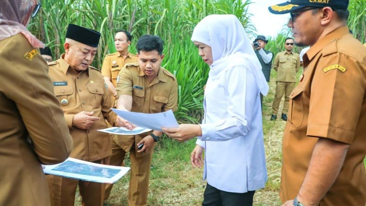 Gubernur Jawa Timur, Khofifah Indar Parawansa, memastikan pembangunan Sekolah Rakyat di Kabupaten Malang akan mencakup jenjang SD, SMP, dan SMA dengan fasilitas lengkap, termasuk asrama, untuk mendukung konsep boarding school.