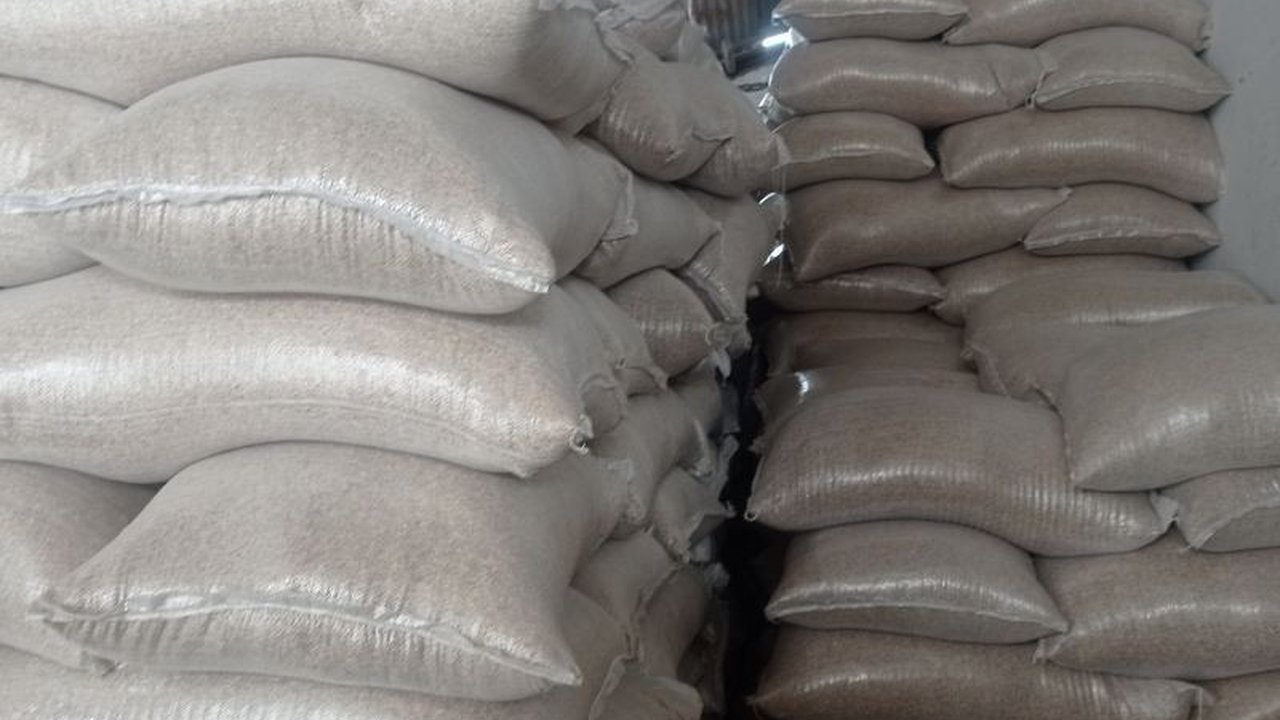 Bulog Lebak berhasil menyerap 15.500 ton setara beras dari petani di Lebak-Pandeglang, melampaui target dan berdampak positif pada perekonomian petani serta ketahanan pangan nasional.