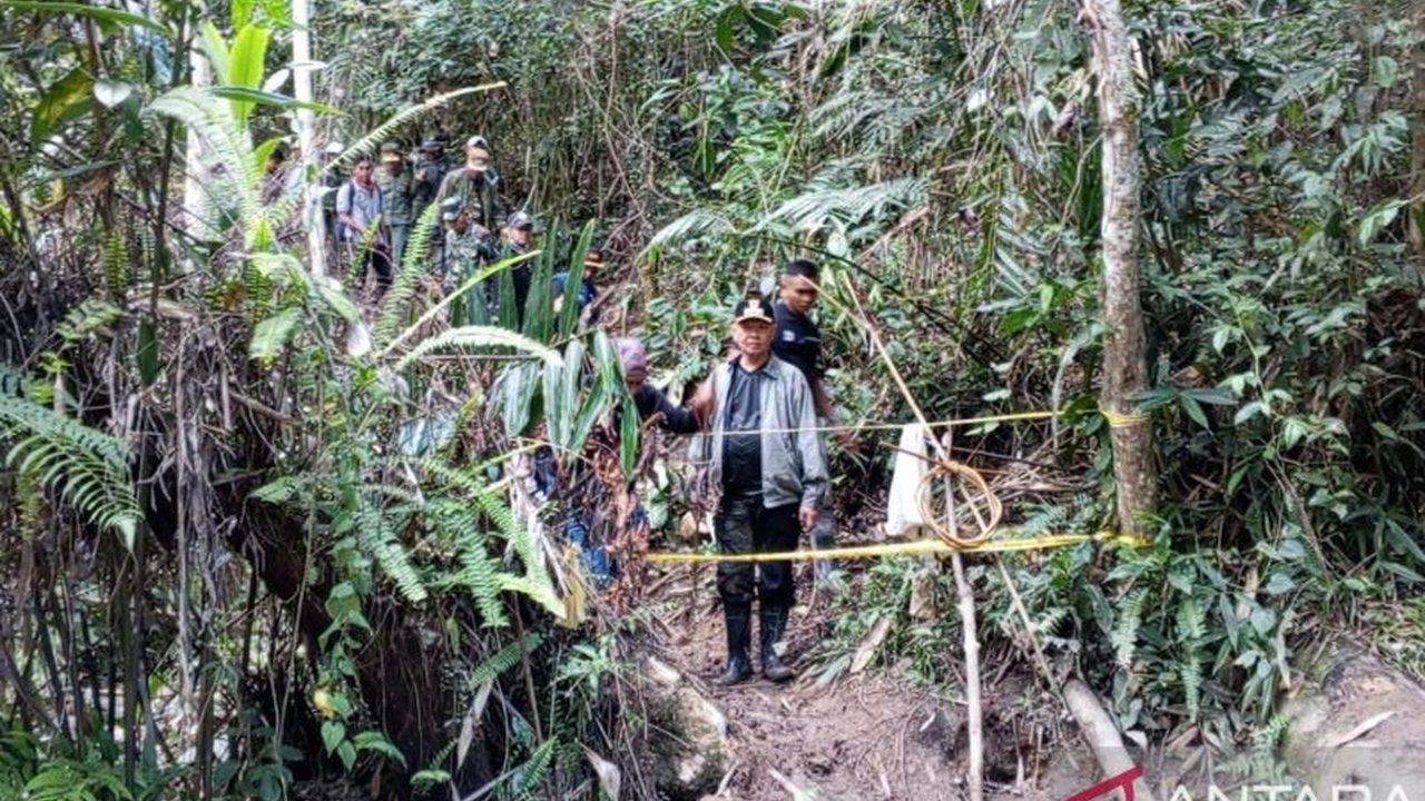 Pemerintah Kabupaten Sigi berkolaborasi dengan aparat keamanan dan Balai Besar Taman Nasional Lore Lindu mendirikan pos terpadu di Kecamatan Lindu untuk mencegah aktivitas pertambangan emas ilegal.