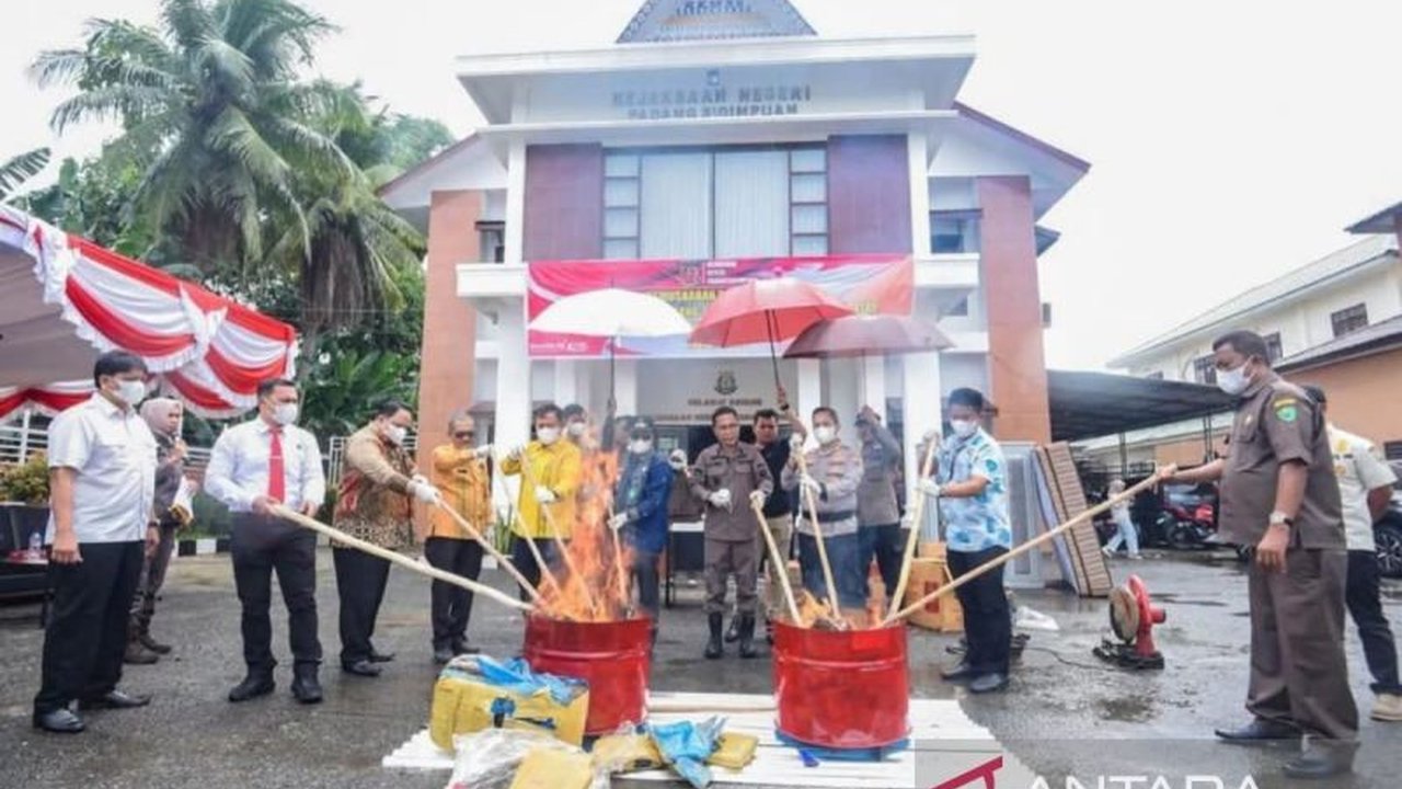 Kejari Padangsidimpuan Musnahkan Barang Bukti 96 Perkara: 63 Kg Ganja Dimusnahkan!